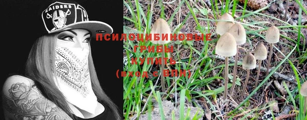 мескалин Нягань