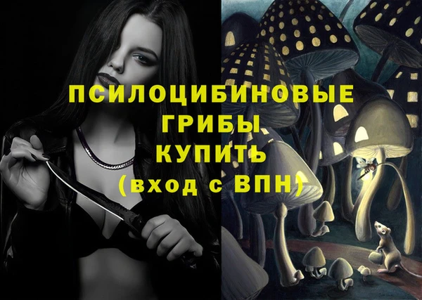 СК Няндома
