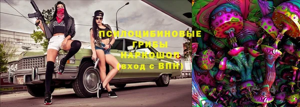 ALPHA PVP Осинники