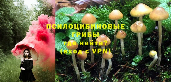 СК Няндома